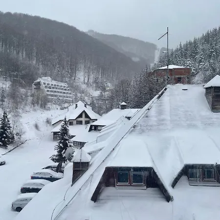 Mist - Bela Reka Kopaonik Brzeće