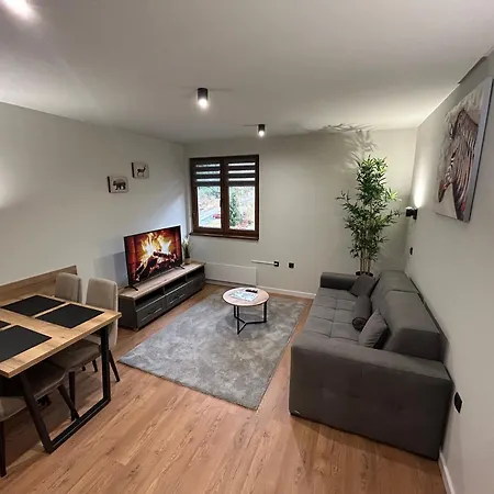 Mist - Bela Reka Kopaonik Brzeće