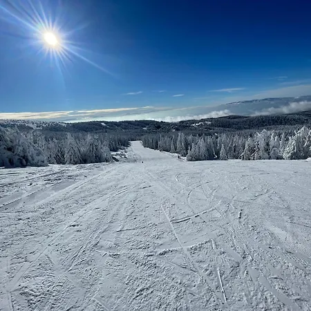 Mist - Bela Reka Kopaonik Brzeće