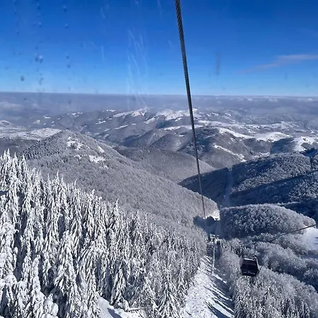 Mist - Bela Reka Kopaonik Brzeće