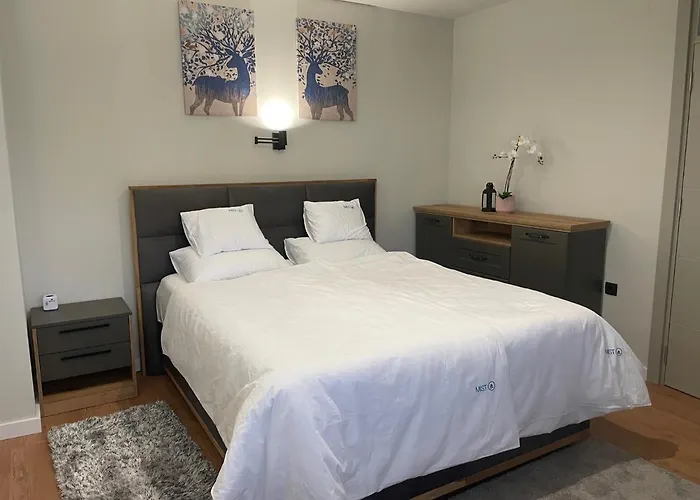 Mist - Bela Reka Kopaonik 公寓