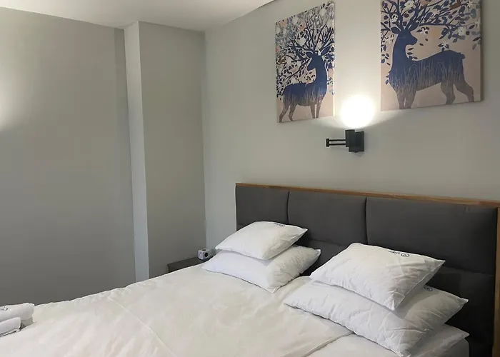 Mist - Bela Reka Kopaonik * Brzeće