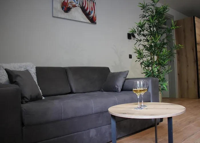 Mist - Bela Reka Kopaonik