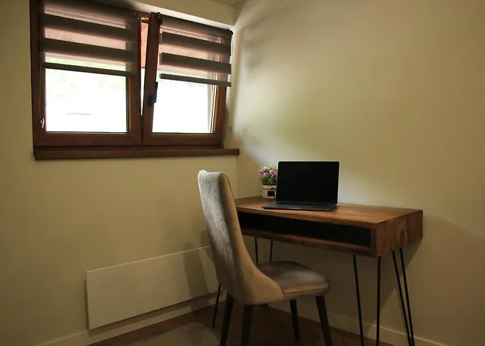 Mist - Bela Reka Kopaonik Brzeće