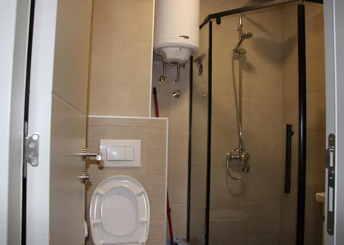 Mist - Bela Reka Kopaonik *