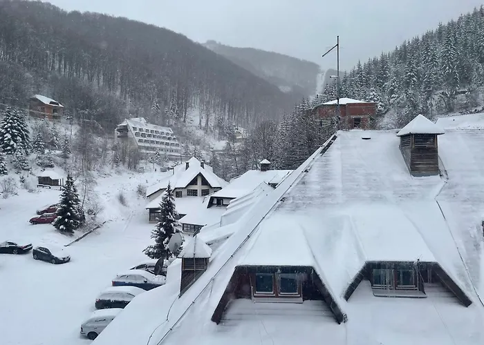 Mist - Bela Reka Kopaonik Brzeće