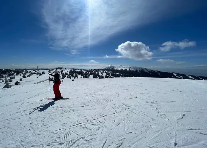 Mist - Bela Reka Kopaonik 公寓 Brzeće