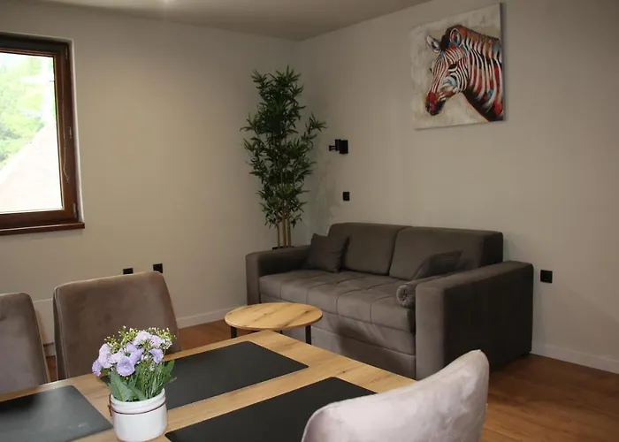 Mist - Bela Reka Kopaonik