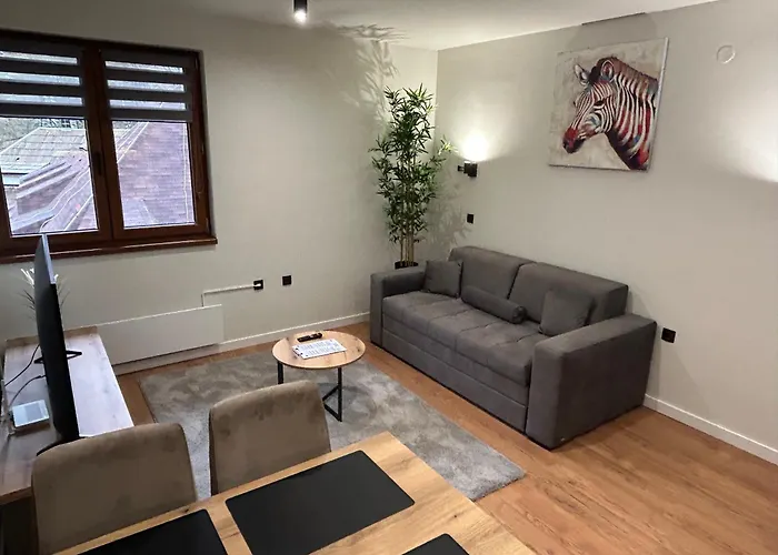 公寓 Mist - Bela Reka Kopaonik *