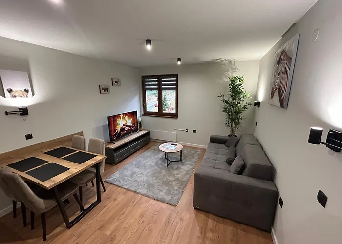 Mist - Bela Reka Kopaonik Brzeće