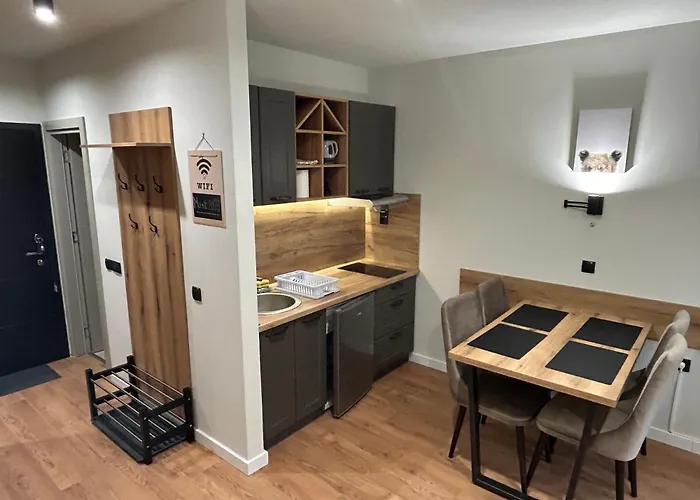 Mist - Bela Reka Kopaonik 公寓