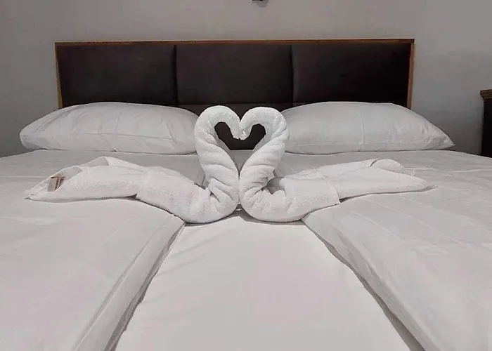 Mist - Bela Reka Kopaonik