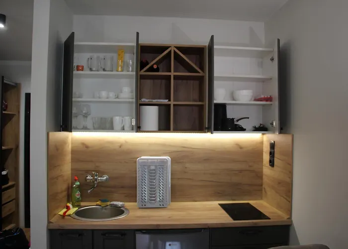 Mist - Bela Reka Kopaonik Brzeće