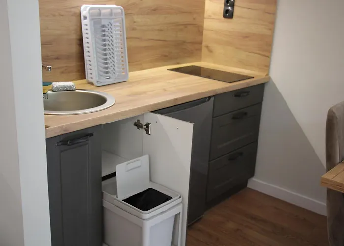 Mist - Bela Reka Kopaonik *