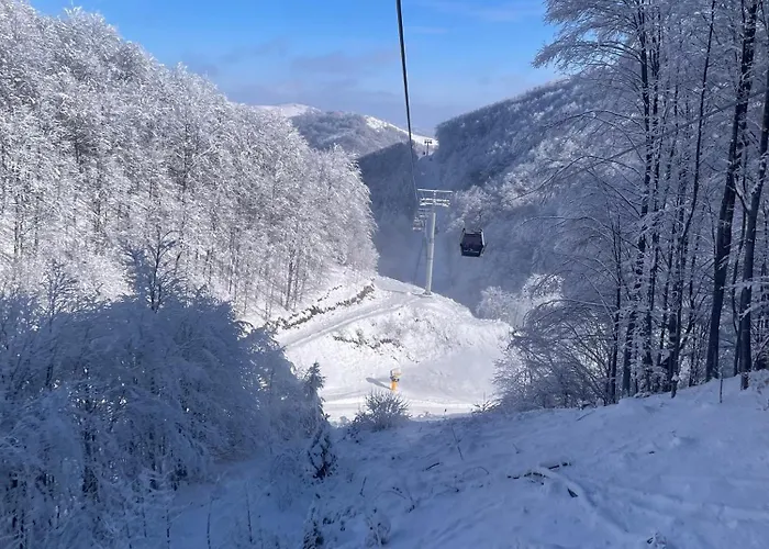 Mist - Bela Reka Kopaonik