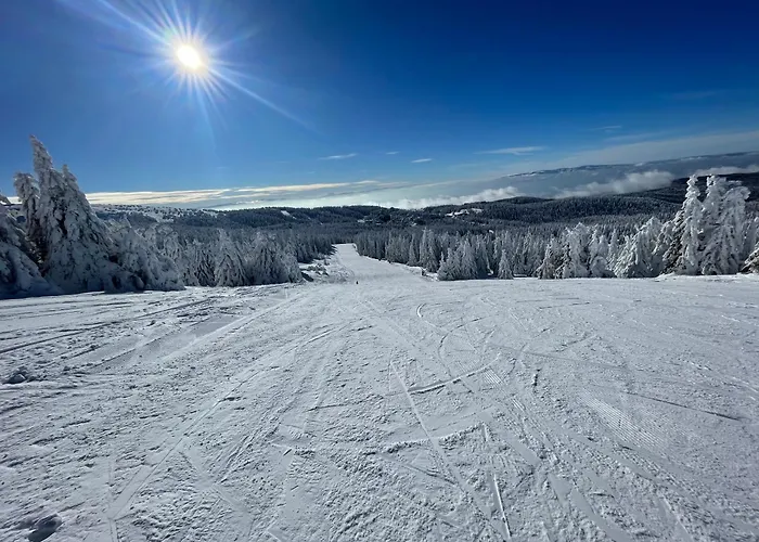 Mist - Bela Reka Kopaonik Brzeće