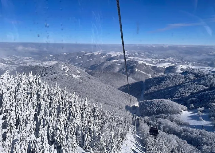 Mist - Bela Reka Kopaonik Brzeće